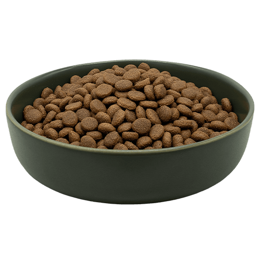 MAXiDOG Allround Athletic