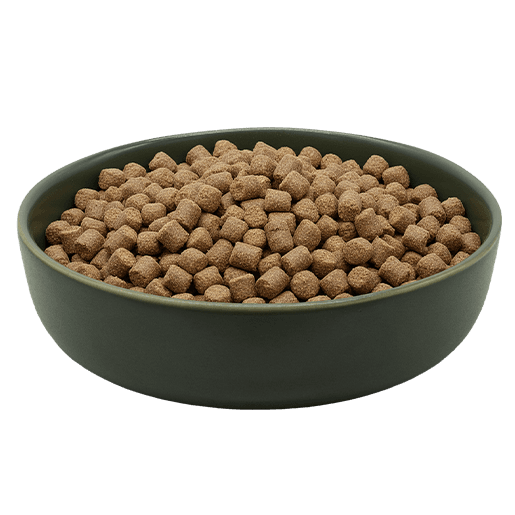 MAXiDOG Allround Champion