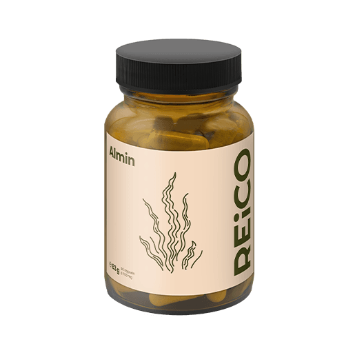 REiCO Almin