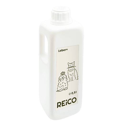 REiCO Leber+