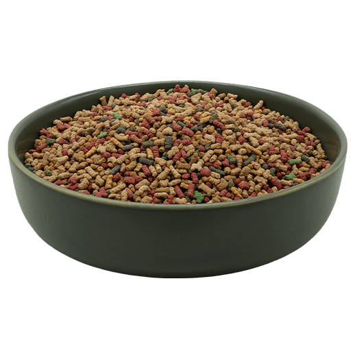 REiCO Hormon Balance+