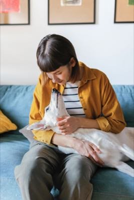 Ruhiger Moment: Hund liegt bei seiner Halterin auf dem Sofa