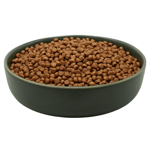 MAXiCAT Premium
